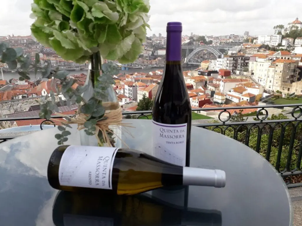 quinta da massorra, massorra, vinhos