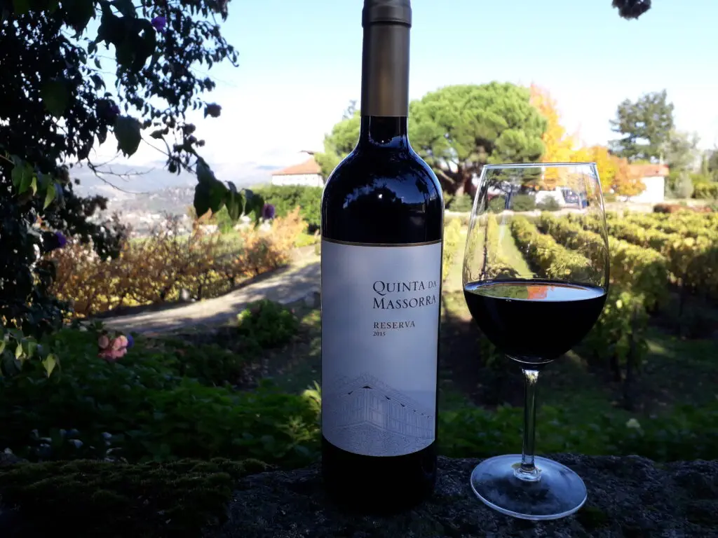 quinta da massorra, massorra, vinhos